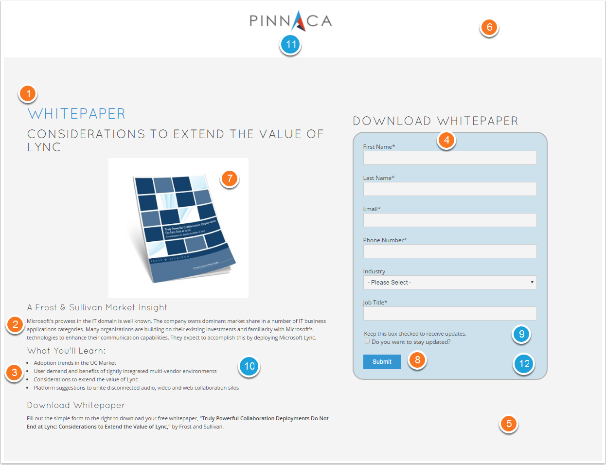 Pinnaca-LandingPage-Example-1.png